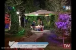 کارآفرینی چین-ژاپن-آمریکا